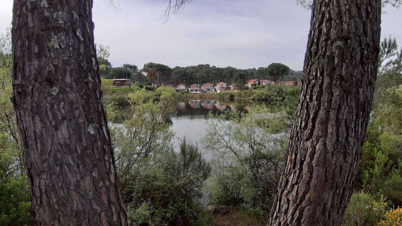 El Pinar del Coto Córdoba Exterior foto